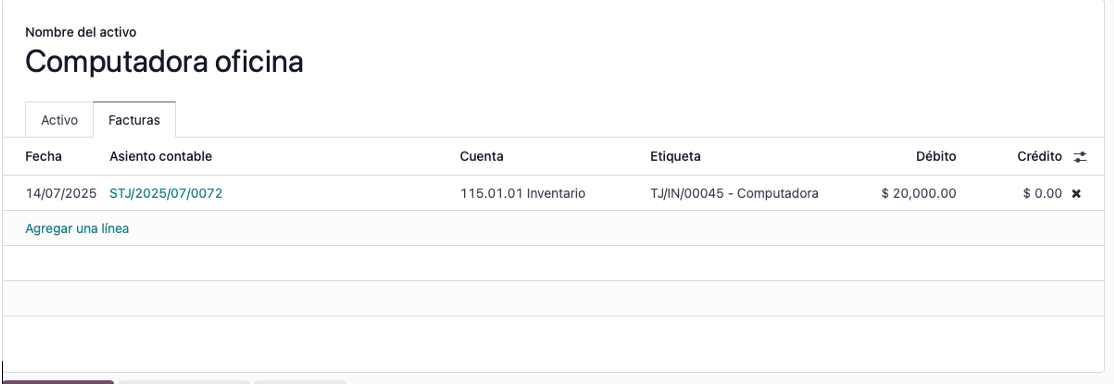 Formulario del activo con factura asociada