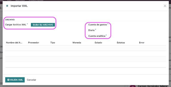 Asistente del módulo Importar XML