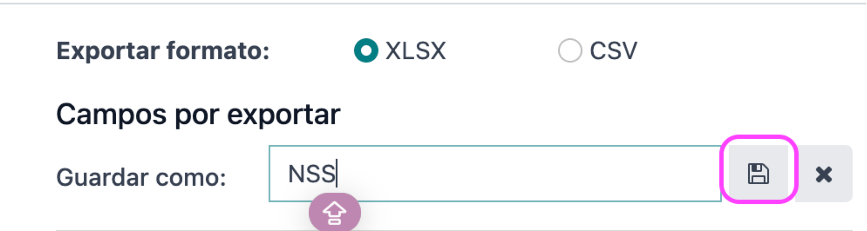Guardar plantilla de exportación