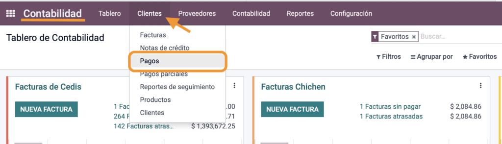 Registro del pago global