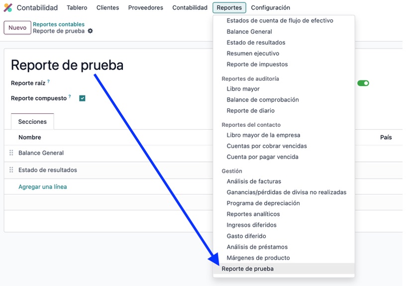 Reporte visible en el menú